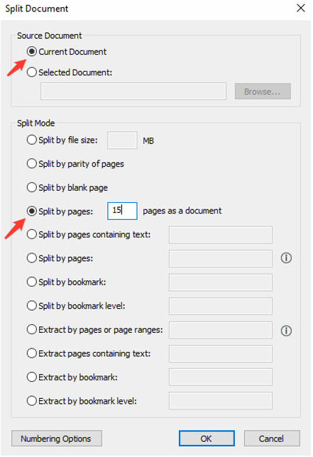 Image showing the Split Document pop-up with the options for splitting
